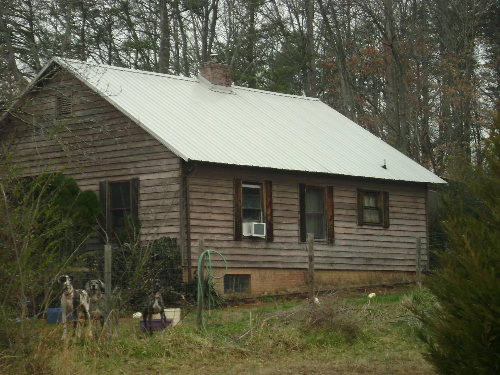 White metal roof on an old wood sided farmhouse, from a Asphalt Shingle Roof Repair job in Clark Fork
